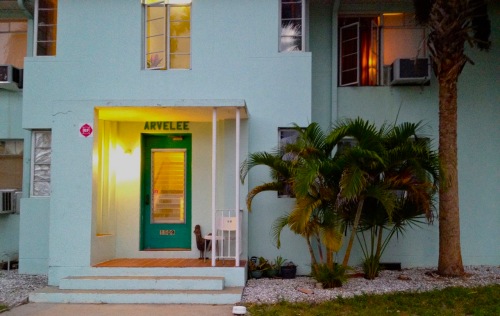 Arvelee. Old Ft. Myers downtown, across from the river. Paul Goldfinger photo. 2012